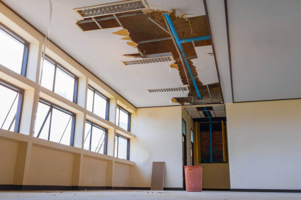 Best Local water damage restoration  in Converse, TX