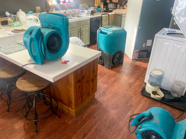 Best Sewage cleanup and water damage restoration  in Converse, TX