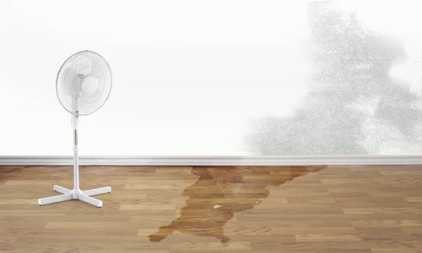 Best Fire Damage Restoration  in Converse, TX