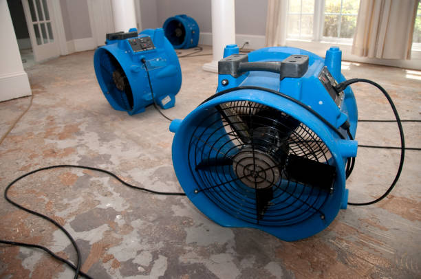 Best Ceiling water damage repair  in Converse, TX