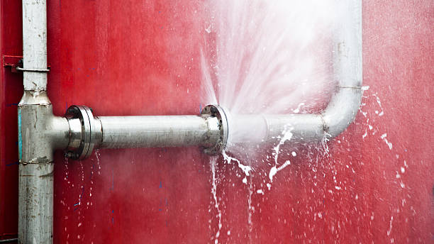 Best Basement water damage restoration  in Converse, TX